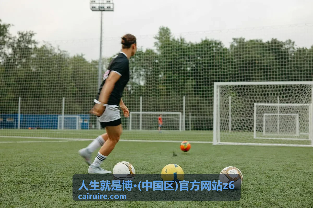 人生就是博 z6 普通用户基础权益说明
